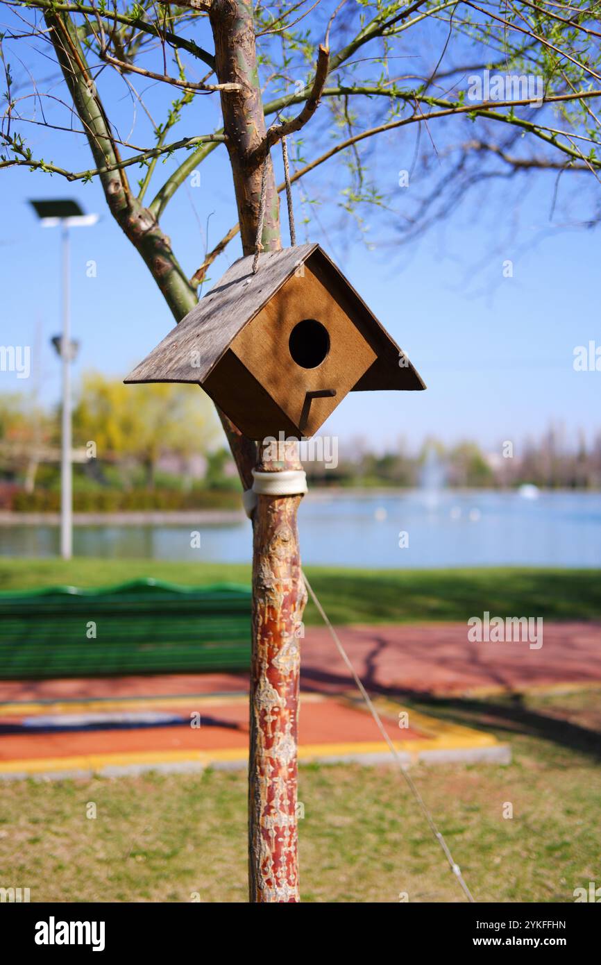 Casa di legno su un albero con un lago sullo sfondo Foto Stock