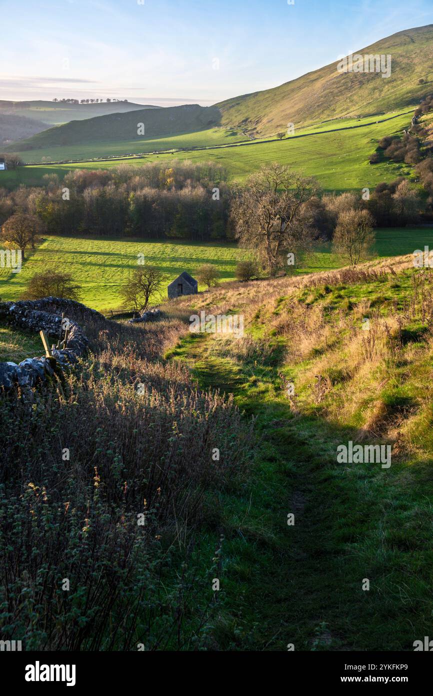 Sentiero lungo il lato di Thorpe Cloud fino a Dovedale, Peak District National Park, Derbyshire Foto Stock