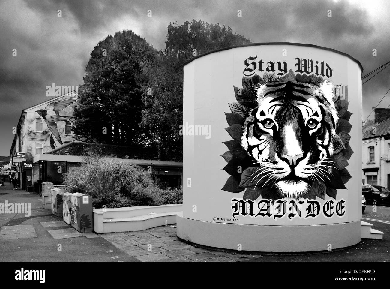 Stay Wild Mural di Miss Rie al Maindee Triangle, Newport, Gwent, Galles del Sud, Regno Unito. Foto Stock