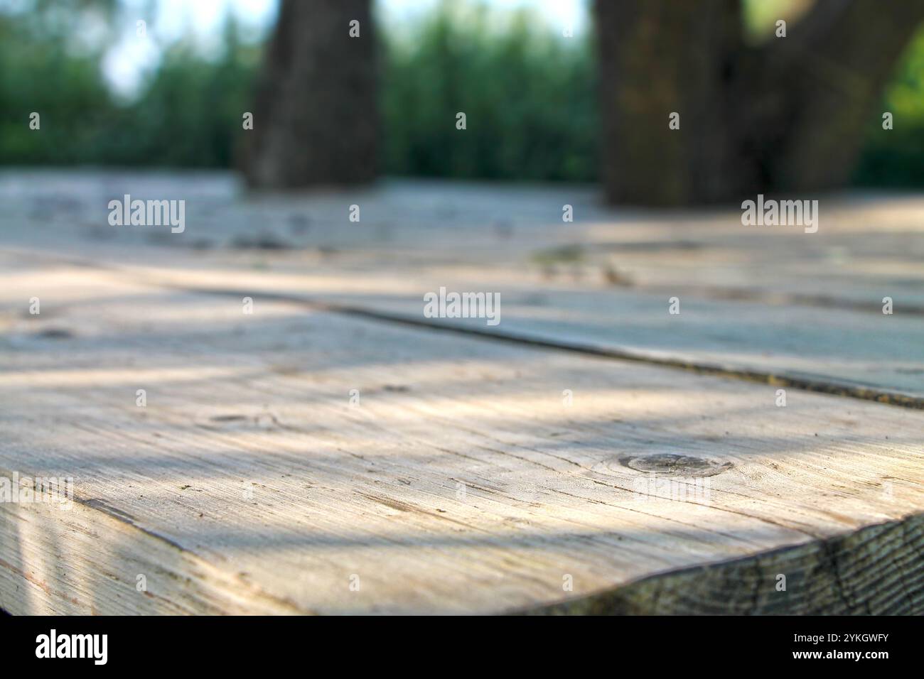 sfondo soleggiato e nascosto del giardino estivo attraverso un tavolo rustico in legno. Foto Stock
