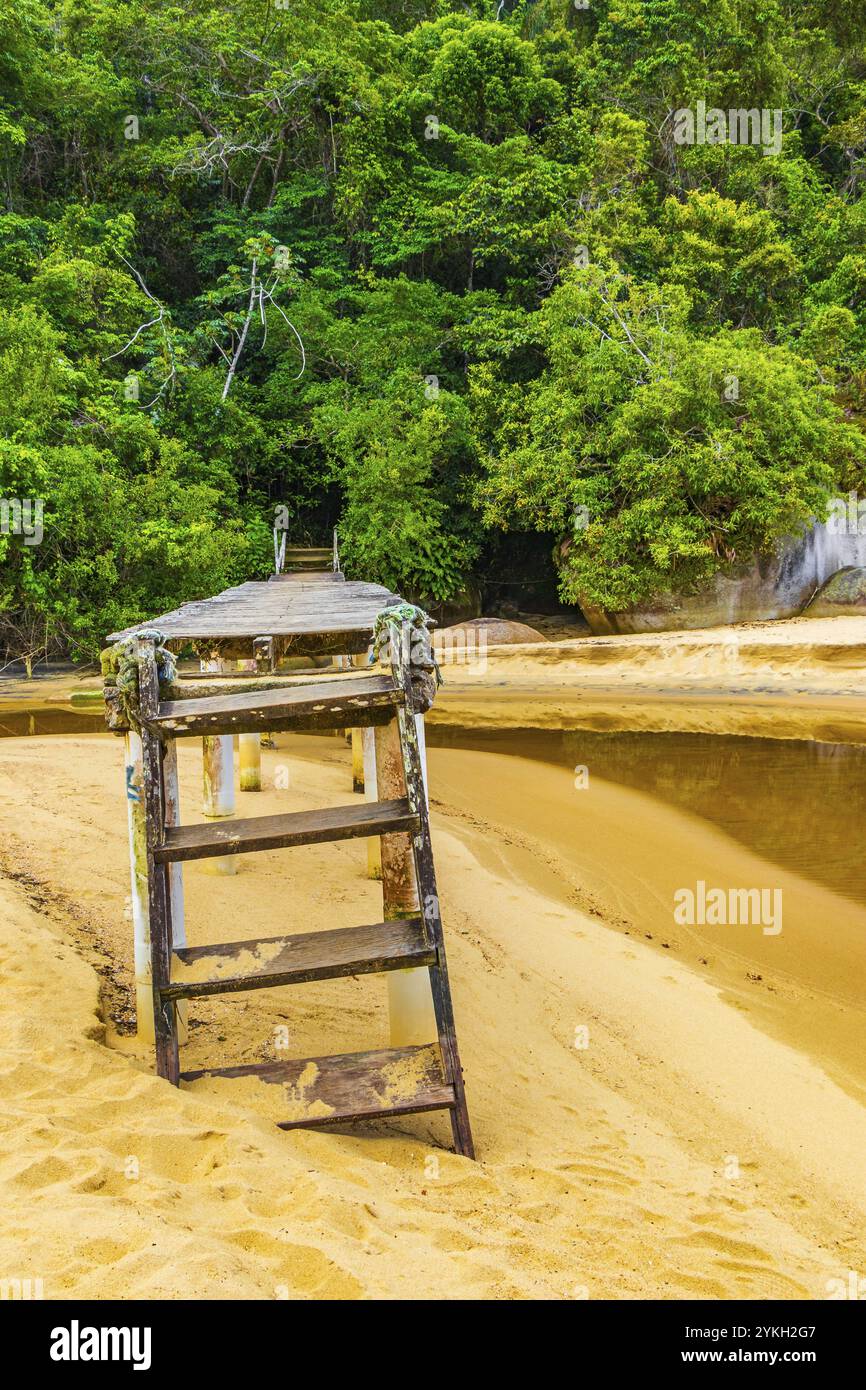 Incredibile spiaggia di Mangrove e Puttle Beach con ponte di legno sulla grande isola tropicale Ilha grande Rio de Janeiro Brasile Foto Stock