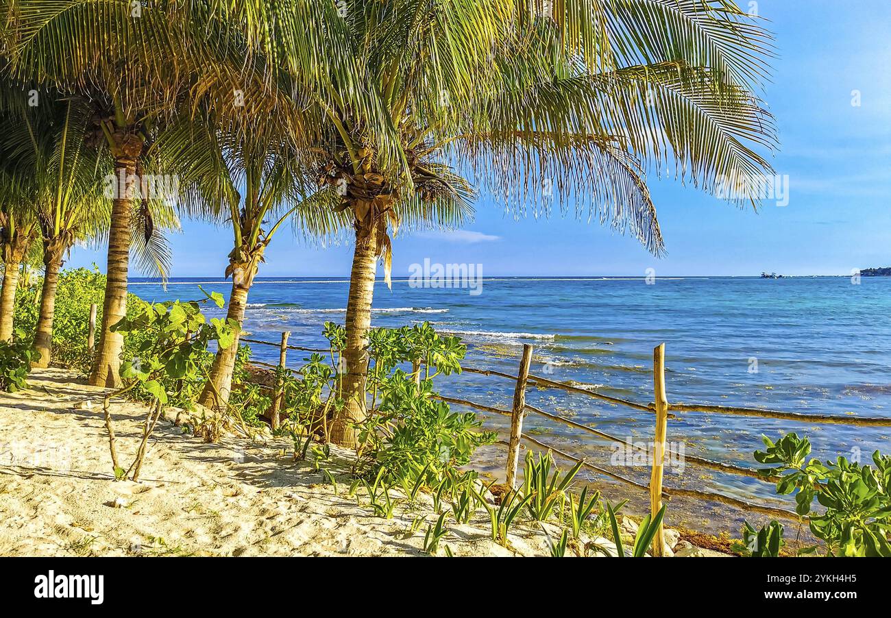 Sentiero in legno a piedi e recinzione alla spiaggia caraibica e natura tropicale con palme a Playa del Carmen Quintana Roo Messico Foto Stock