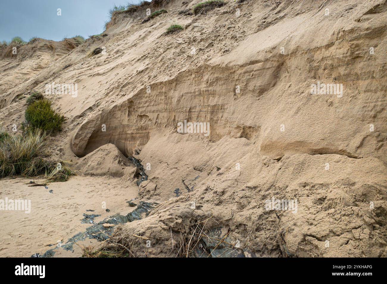 Danni provocati dalla tempesta al sistema di dune di sabbia di Crantock Beach a Newquay in Cornovaglia nel Regno Unito. Foto Stock