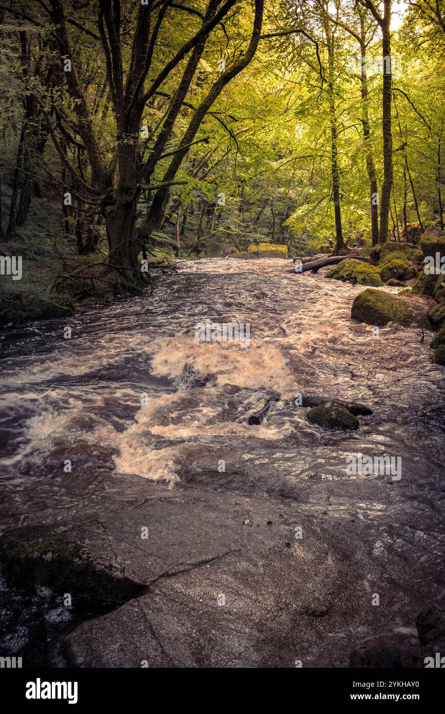 Cascate di Golitha. Il fiume Fowey scorre attraverso l'antico bosco di querce di Draynes Wood a Bodmin Moor in Cornovaglia nel Regno Unito. Foto Stock