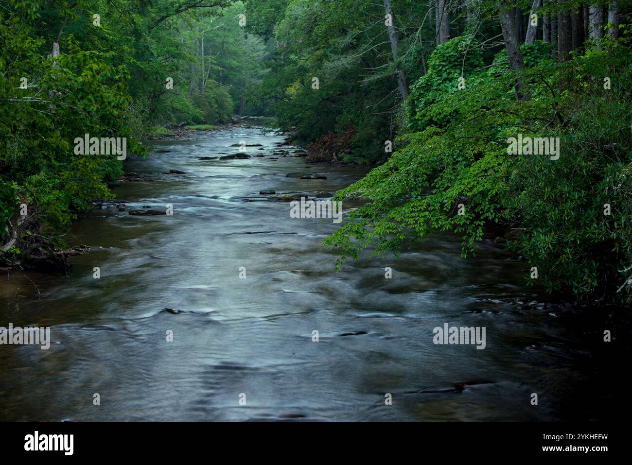 Una scena fluviale mattutina nel Davidson River Campground, Pisgah National Forest, NC, 29 luglio 2017. (Foto USDA di Lance Cheung) Foto Stock
