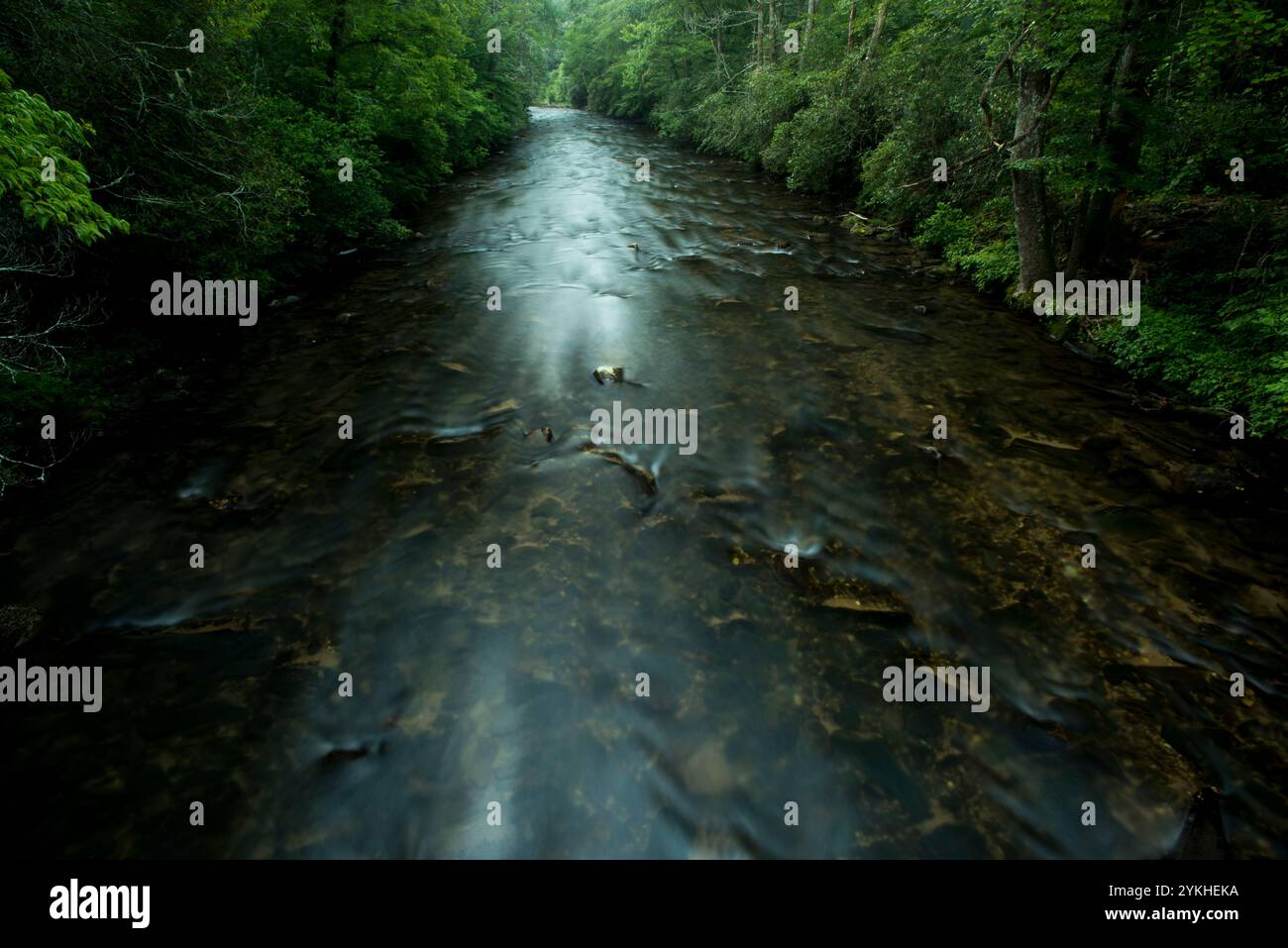 Una scena fluviale mattutina nel Davidson River Campground, Pisgah National Forest, NC, 29 luglio 2017. (Foto USDA di Lance Cheung) Foto Stock