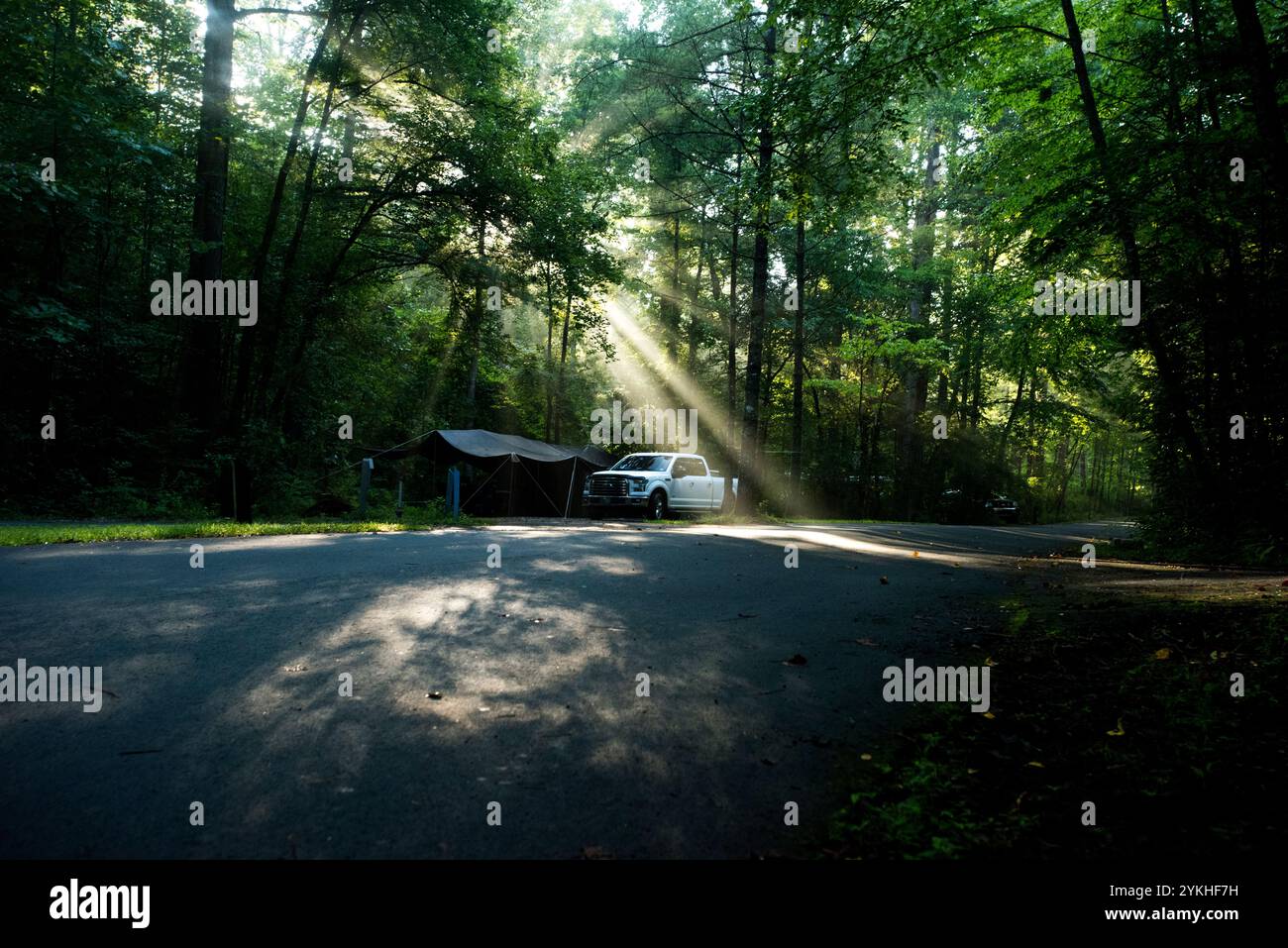 Una scena al mattino presto nel Davidson River Campground, Pisgah National Forest, North Carolina. (Foto USDA di Lance Cheung) Foto Stock