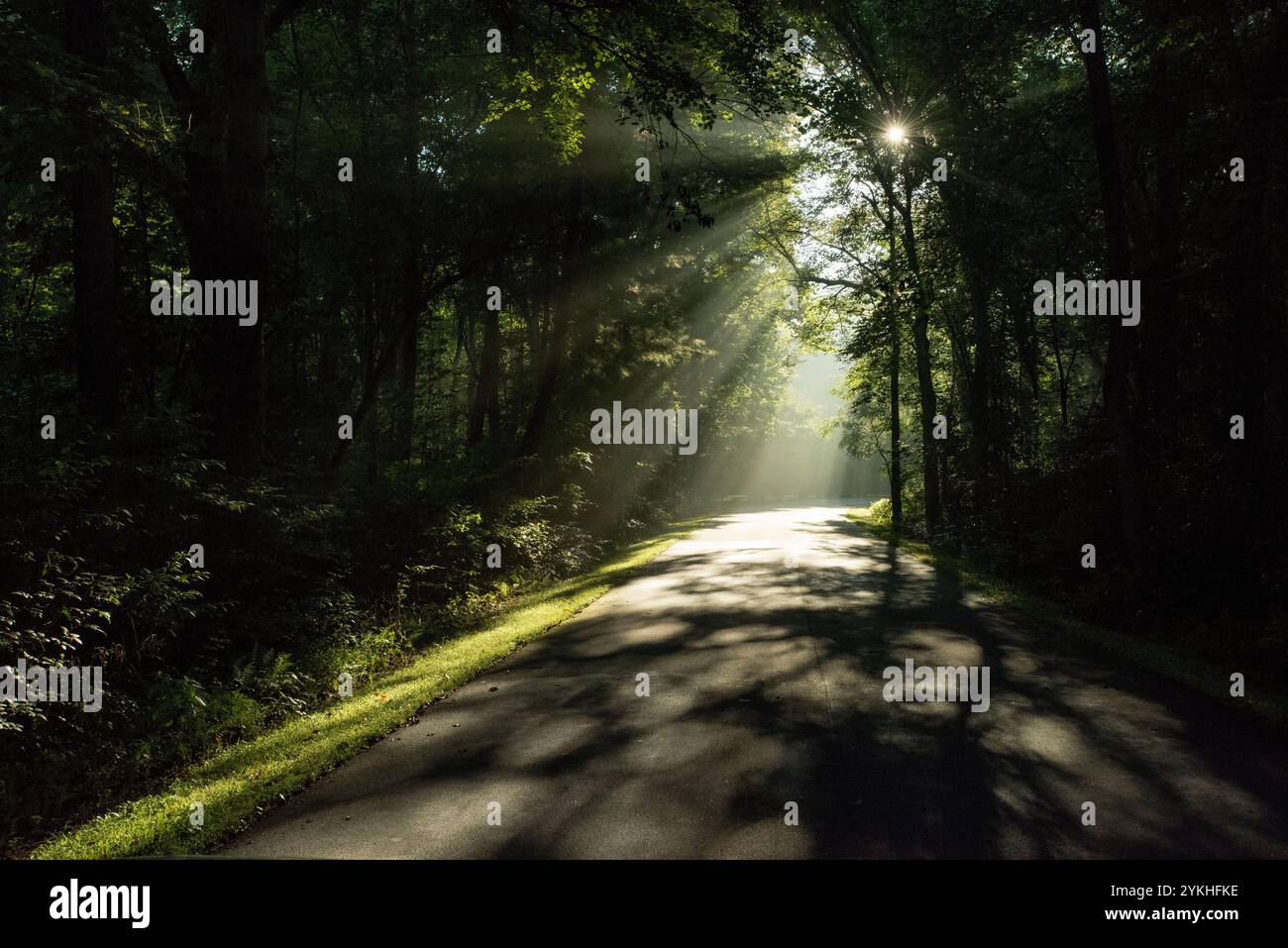 Una scena al mattino presto nel Davidson River Campground, Pisgah National Forest, North Carolina. (Foto USDA di Lance Cheung) Foto Stock