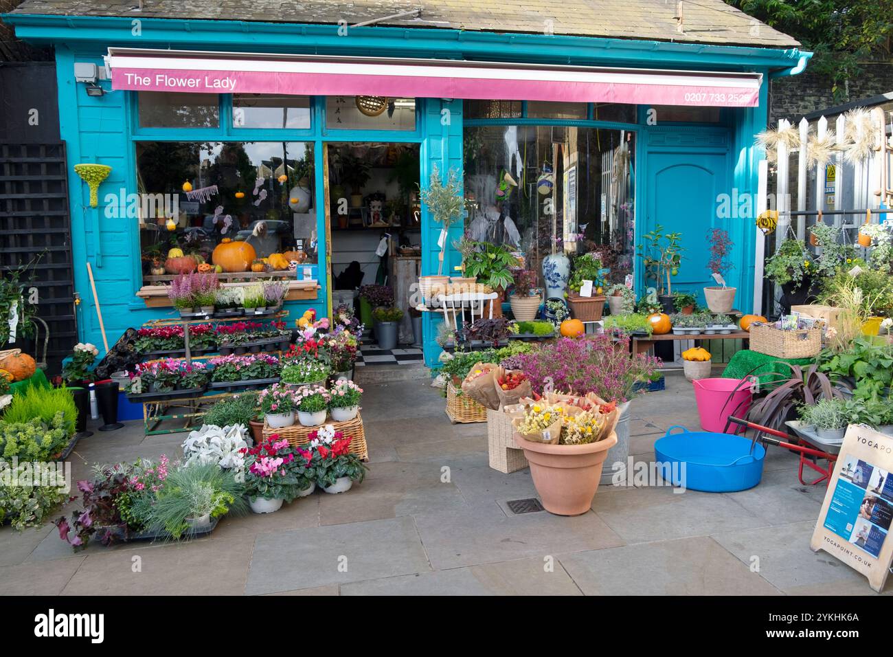 The Flower Lady Nursery Plant Shop, negozio esterno a Herne Hill, autunno ottobre 2024 Londra, Inghilterra, Regno Unito, KATHY DEWITT Foto Stock