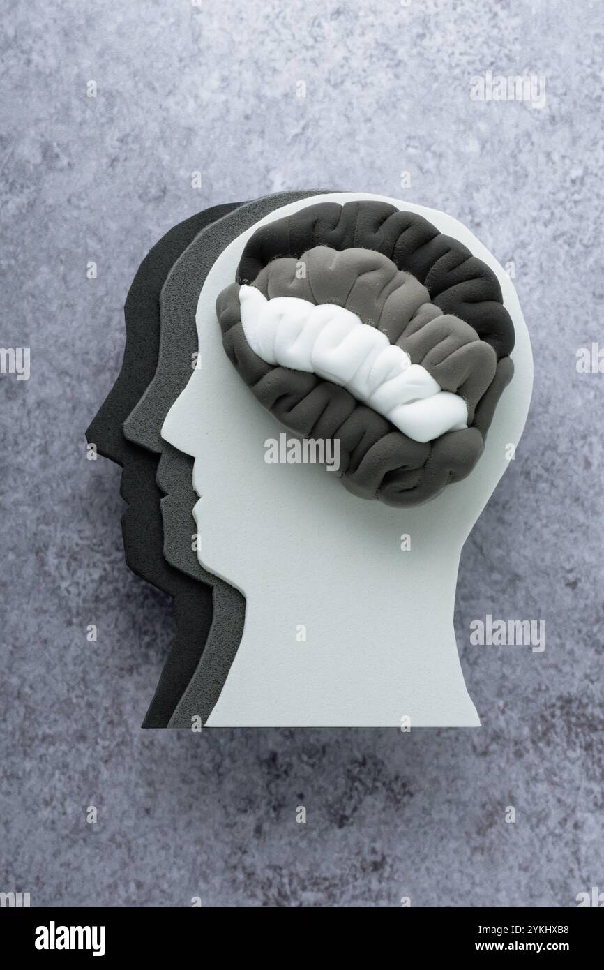 Problemi di salute mentale, disturbo del sistema nervoso, depressione, schizofrenia, cambiamenti nel comportamento. vista dall'alto. Foto di alta qualità Foto Stock