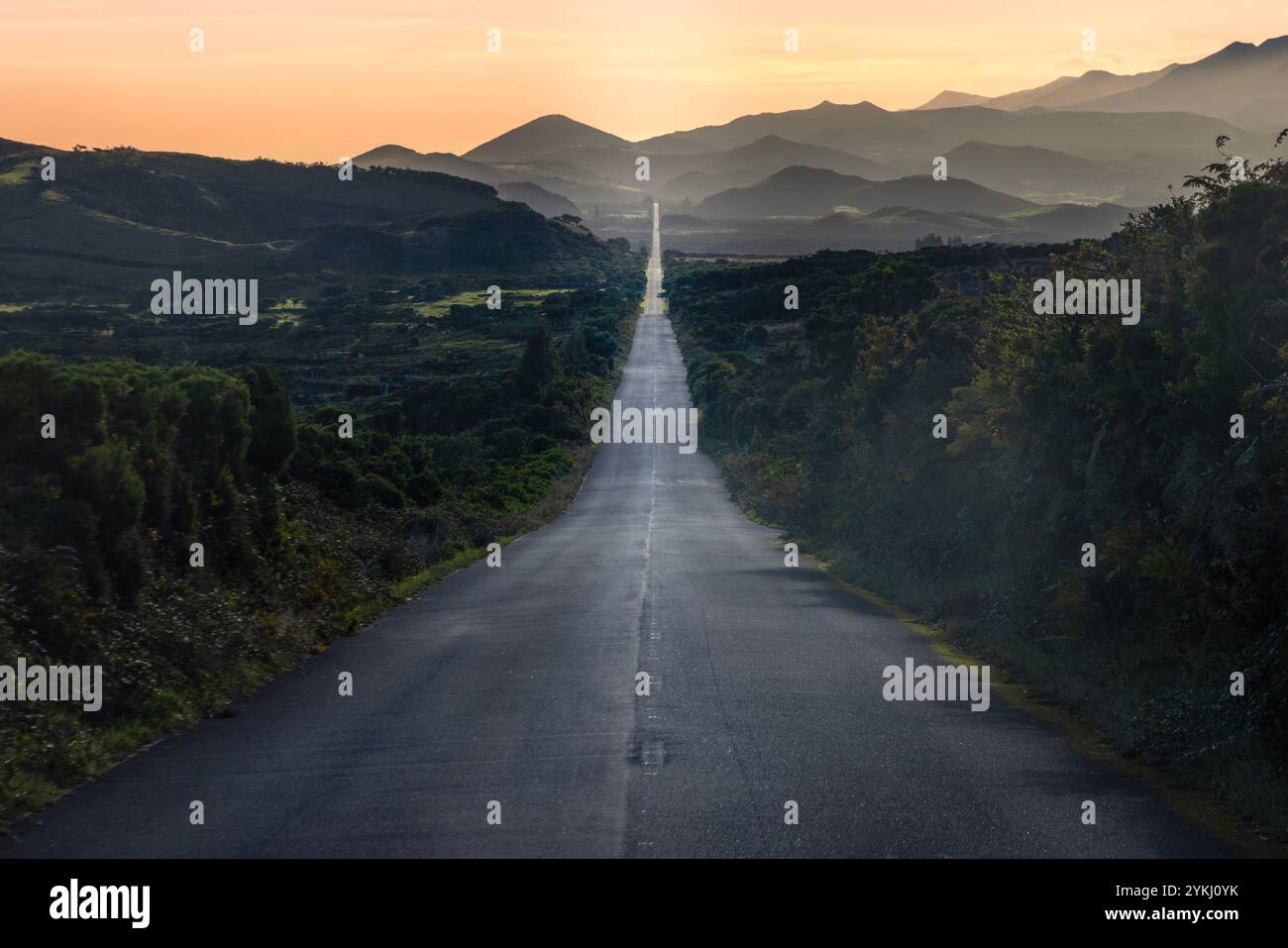 Un viaggio su strada lungo la strada rettilinea più lunga del Portogallo con vista sul monte Pico e sulla catena montuosa delle Azzorre. Foto Stock