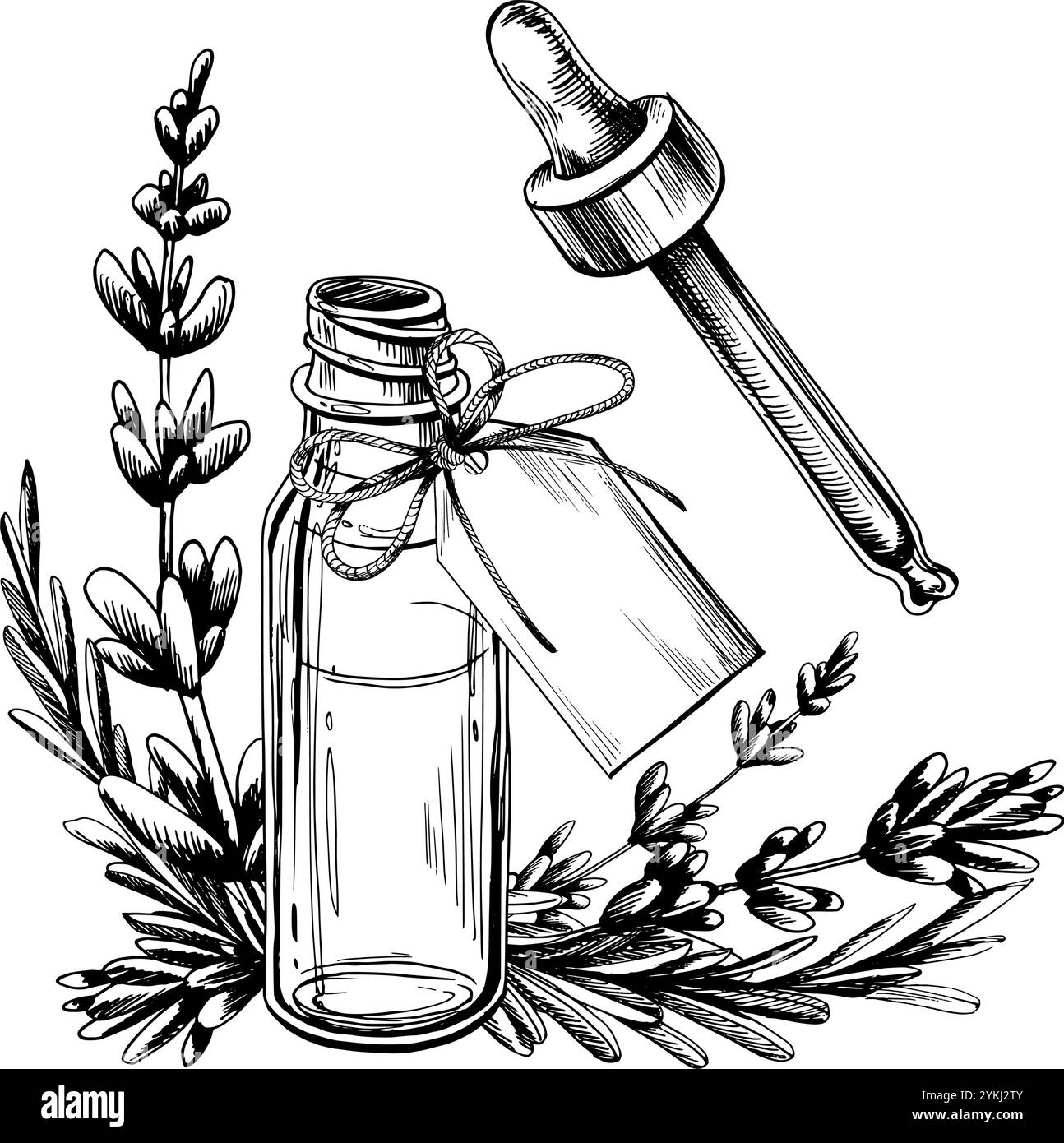 Flacone in vetro con pipetta per siero, olio con fiocco e targhetta per un'iscrizione con fiori e rami di lavanda. Riga dell'illustrazione grafica Illustrazione Vettoriale