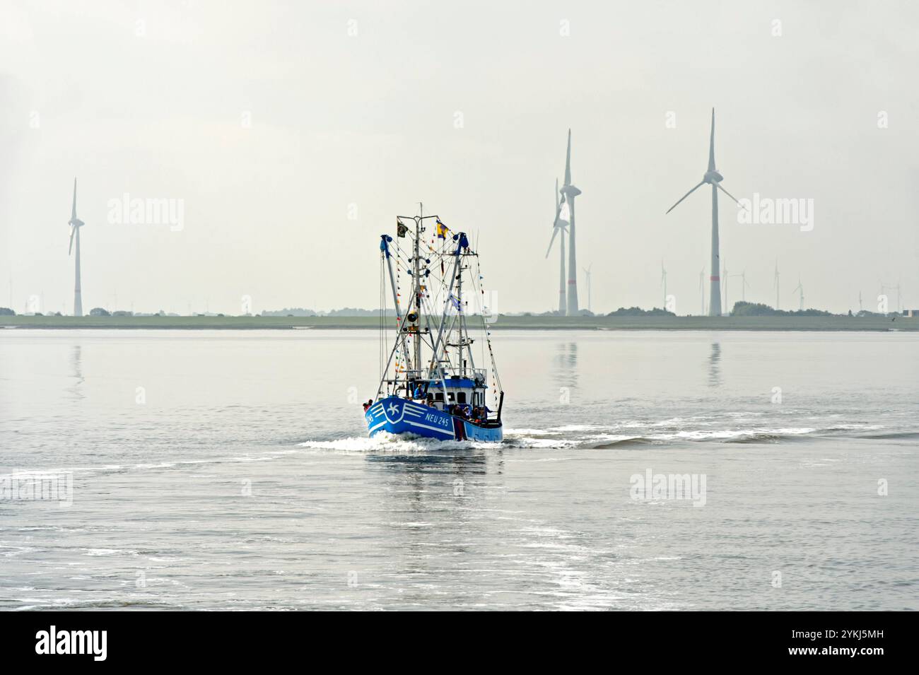 Krabbenkutter Seestern NEU 245 in der Nordsee vor der Insel Spiekeroog, ostfriesische Inseln, Nordsee, Niedersachsen, Deutschland *** Shrimp cutter se Foto Stock