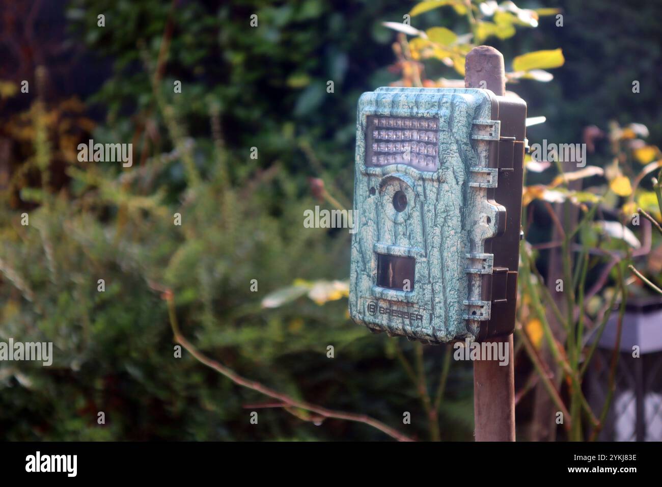 Wildkameras für den universellen Einsatz Eine Wild- oder auch Jagdkamera, die bei jedem Wetter mittels Bewegungsmelder Video und auch Fotoaufnahmen macht und in der Nacht automatisch auf Infrarotaufnahmen umstellt. *** Telecamere di gioco per uso universale Una telecamera da gioco o da caccia che utilizza rilevatori di movimento per scattare video e foto in tutte le condizioni atmosferiche e passa automaticamente alla registrazione a infrarossi di notte Foto Stock