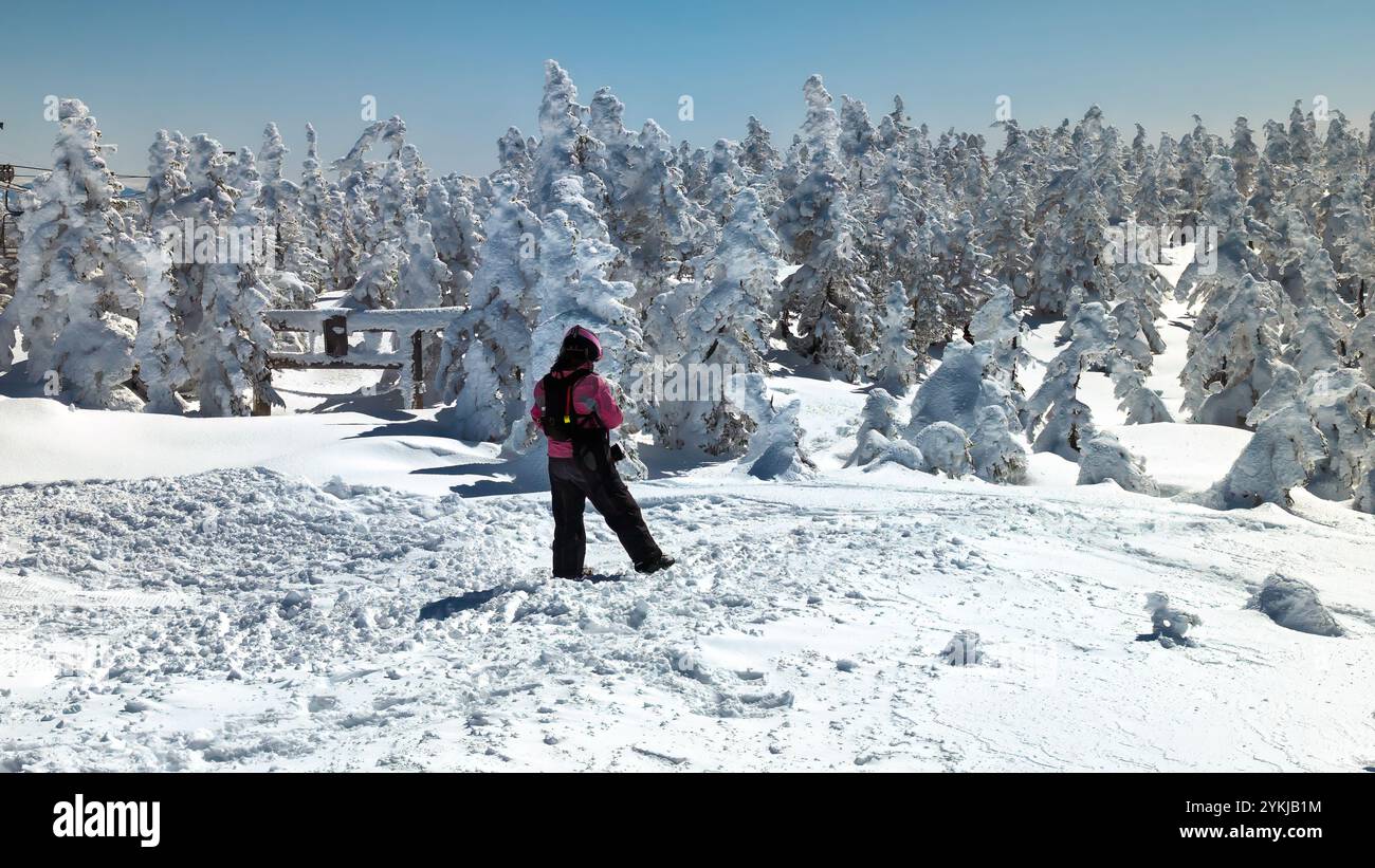 Snowboarder che guarda una porta Torii quasi completamente sepolta nella neve profonda (Yokoteyama, Nagano) Foto Stock