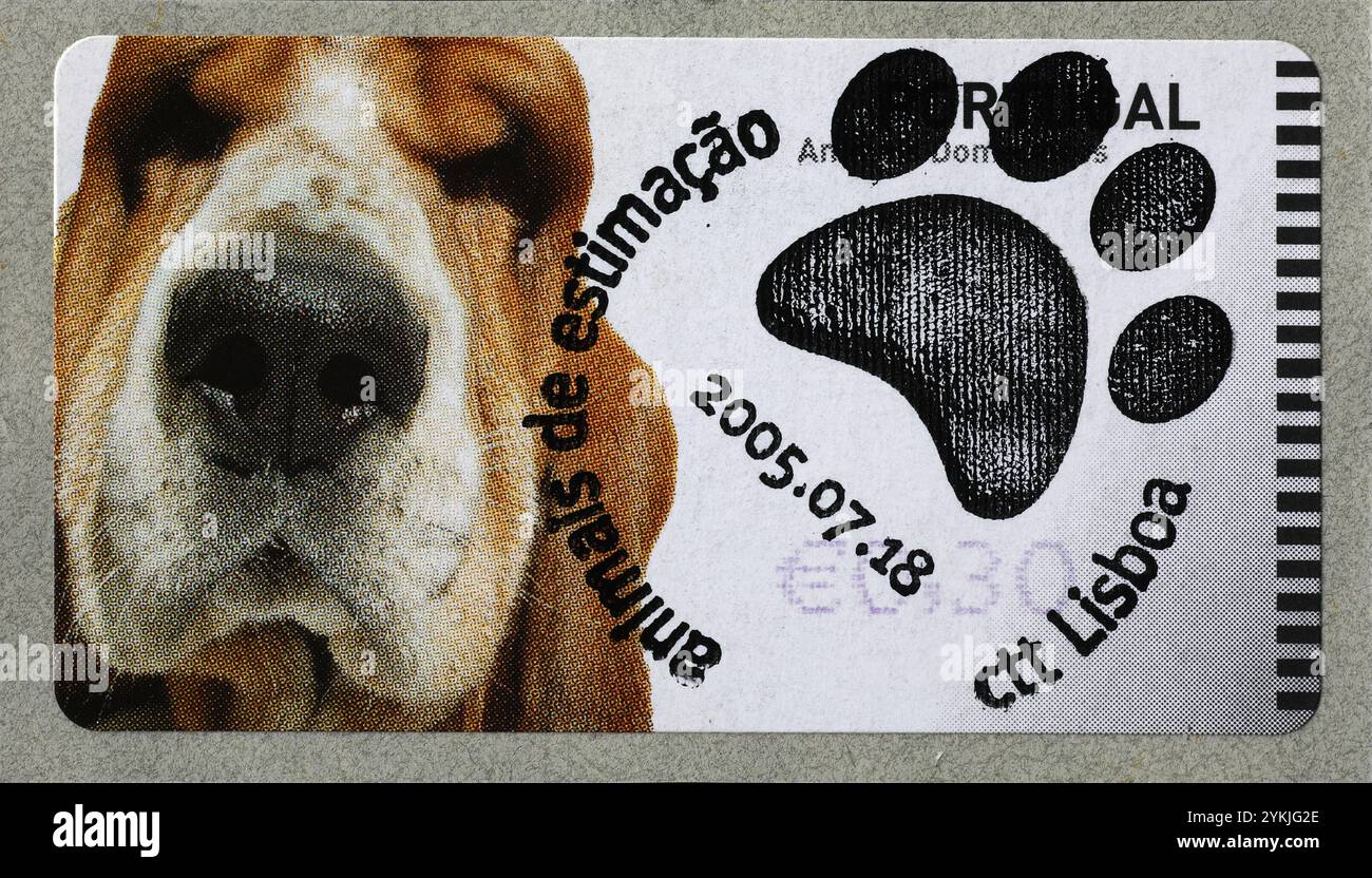 Divertente primo piano di un Bassett Hound su un francobollo portoghese Foto Stock