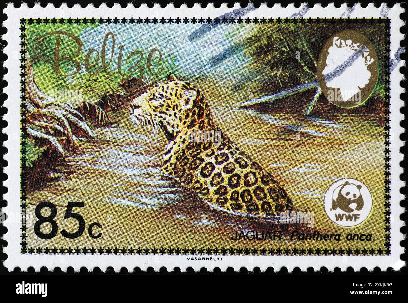 Jaguar in un flusso su francobollo del Belize Foto Stock