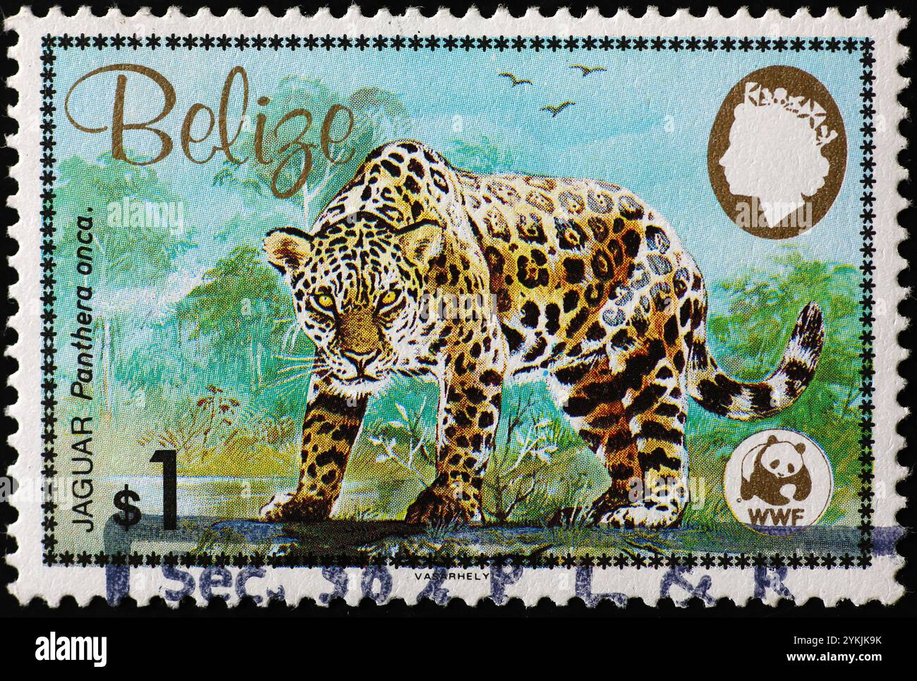 Jaguar ti guarda su un francobollo del Belize Foto Stock