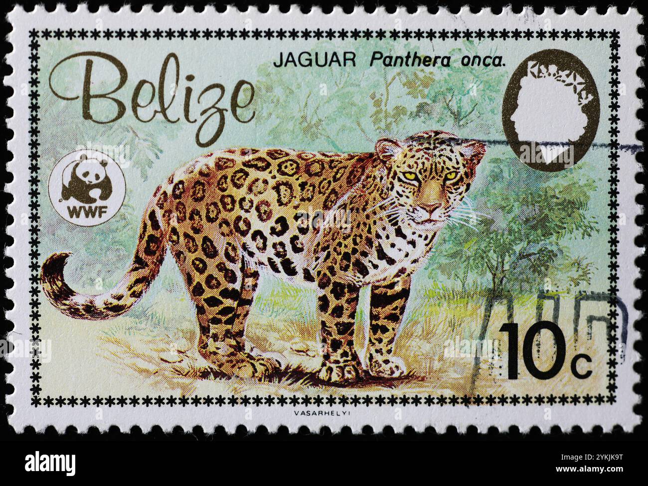 Jaguar ti guarda sul francobollo del Belize Foto Stock