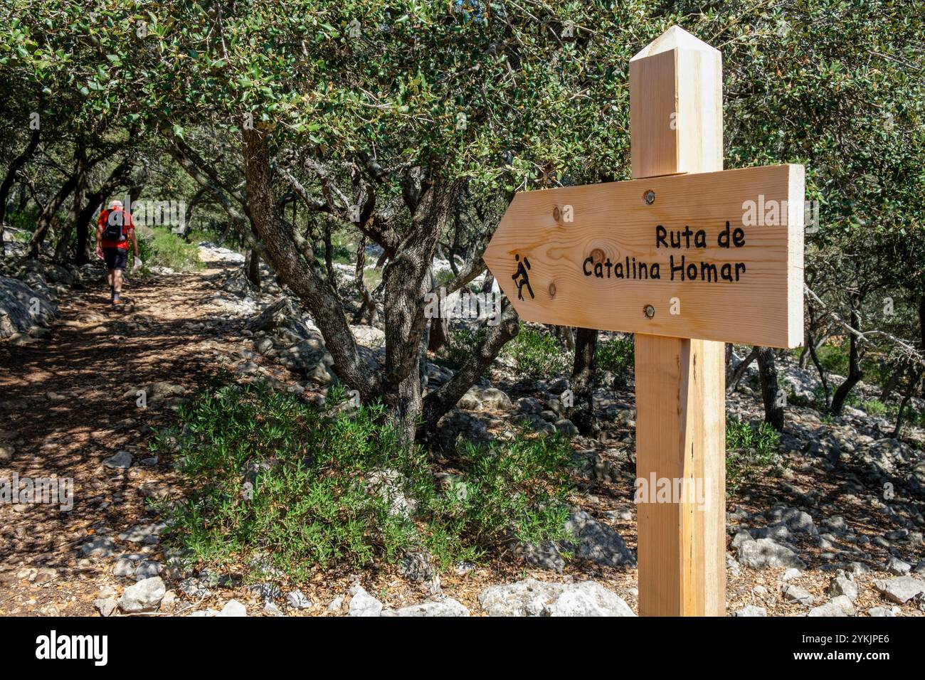 Itinerario di Catalina Homar, ses basses, Valldemossa, Maiorca, Isole baleari, Spagna. Foto Stock