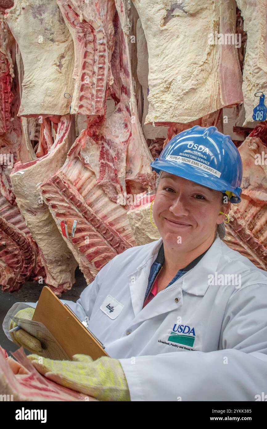 Gli ispettori USDA per le carni agricole ispezionano e classificano le carni bovine in un macello e in un impianto di imballaggio. Foto Stock