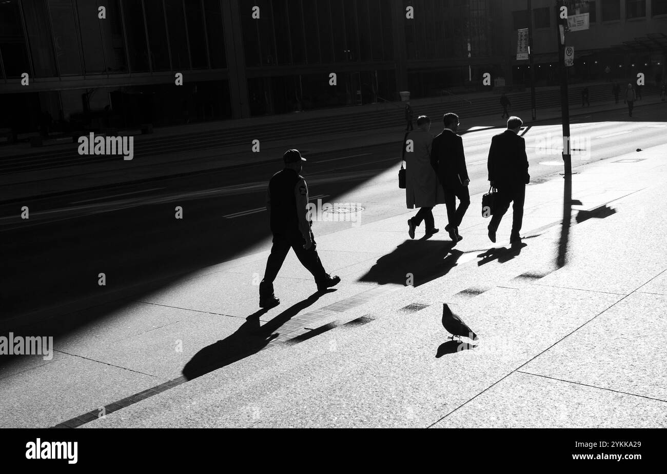 Sagome di strada di una scena contrastante in bianco e nero con persone che camminano attraverso le ombre e la luce del sole per le strade di Toronto Foto Stock