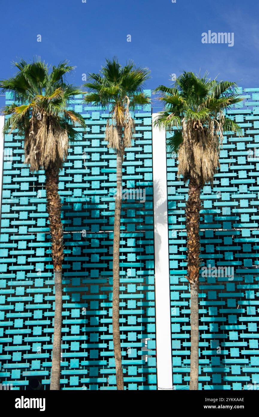 Fila di 3 palme adagiate su una facciata moderna retrò color acqua della metà del secolo Foto Stock