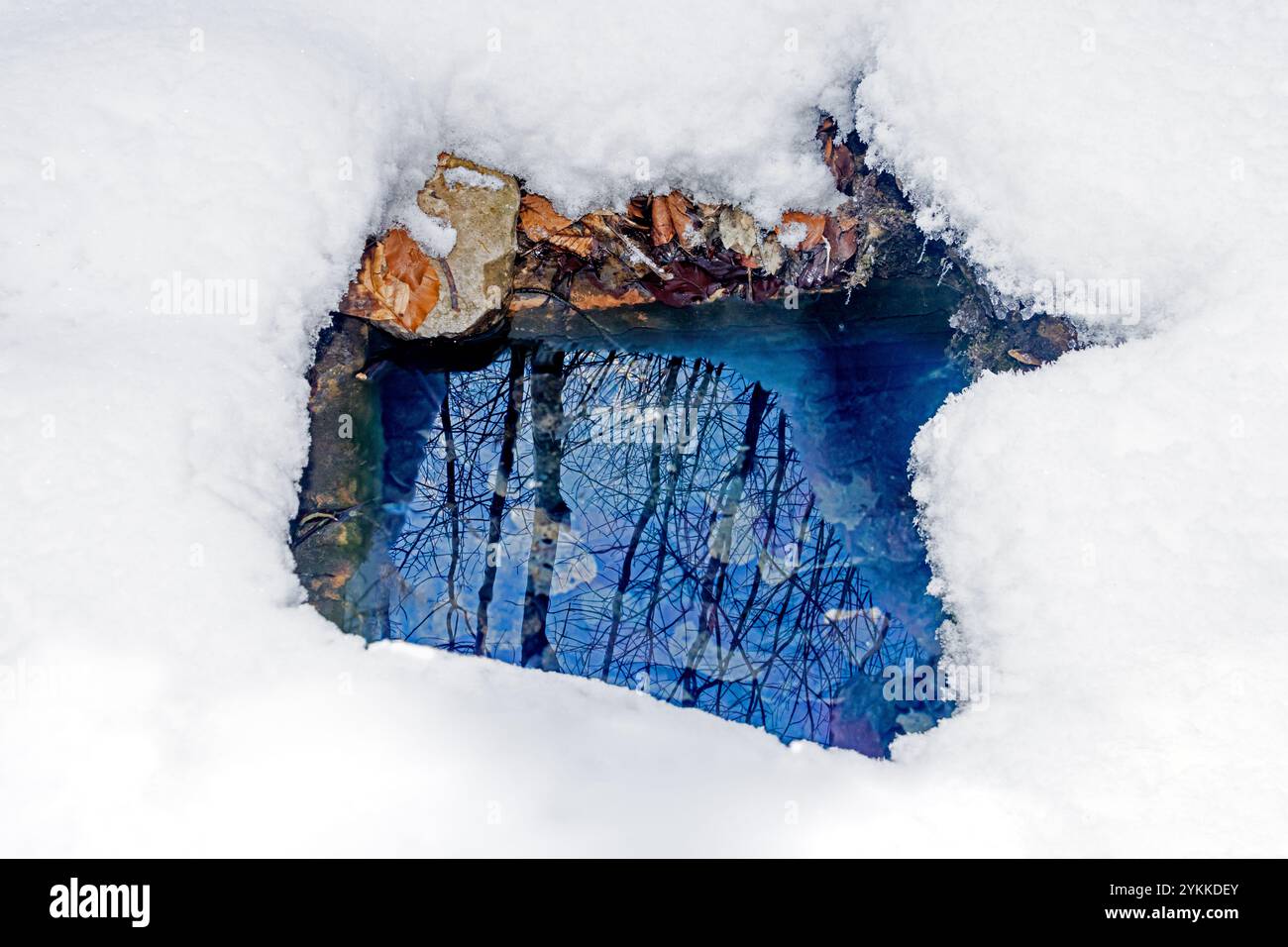 Gli alberi si riflettono sulla superficie dell'acqua nella natura innevata Foto Stock