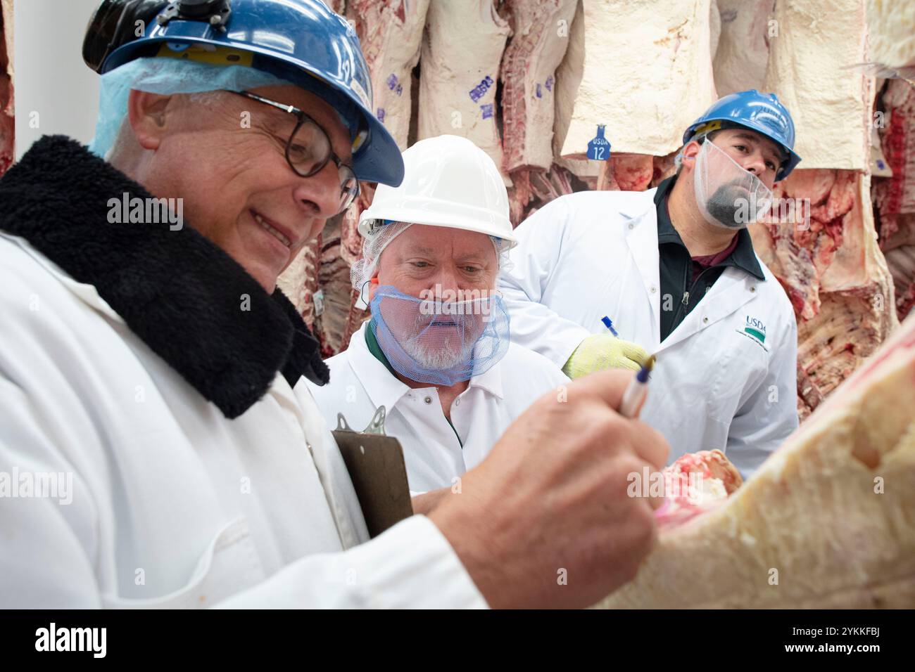 Gli ispettori USDA per le carni agricole ispezionano e classificano le carni bovine in un macello e in un impianto di imballaggio. Foto Stock