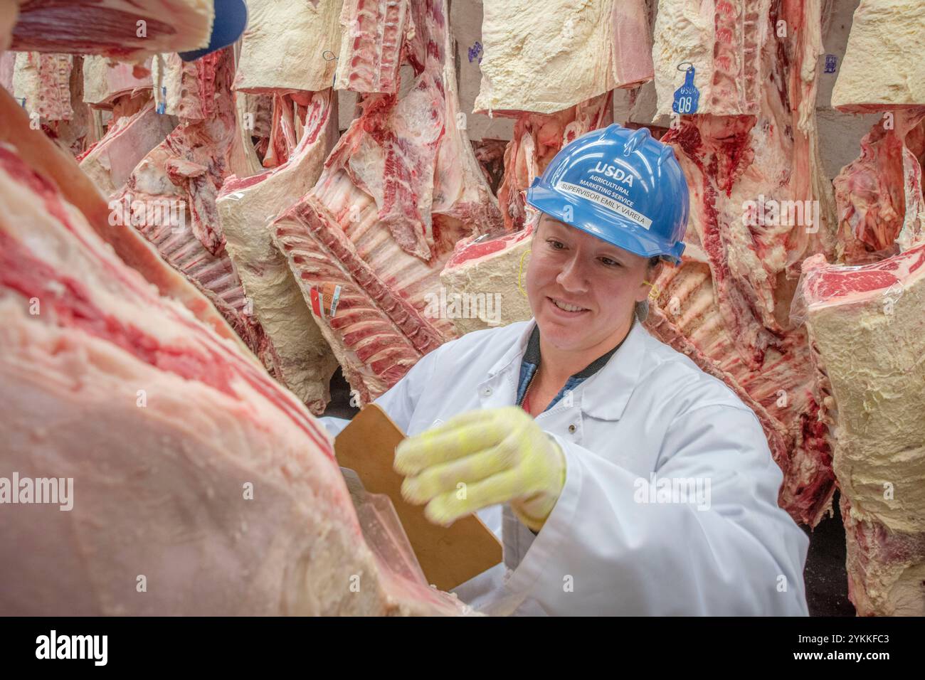 Gli ispettori USDA per le carni agricole ispezionano e classificano le carni bovine in un macello e in un impianto di imballaggio. Foto Stock
