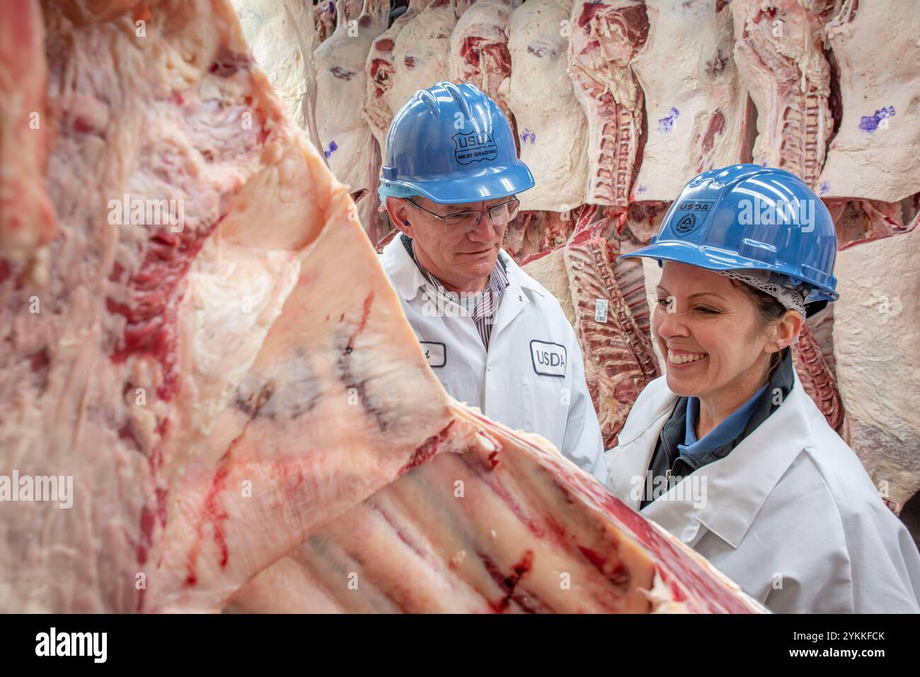 Gli ispettori USDA per le carni agricole ispezionano e classificano le carni bovine in un macello e in un impianto di imballaggio. Foto Stock