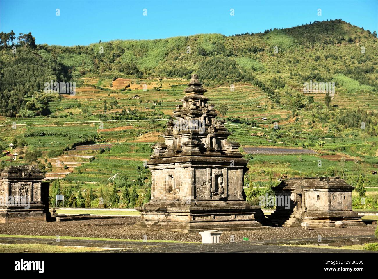 Parco archeologico del tempio di Arjuna sull'altopiano di Dieng, che si trova amministrativamente in Dieng Kulon, Batur, Banjarnegara, Giava Centrale, Indonesia. Foto Stock