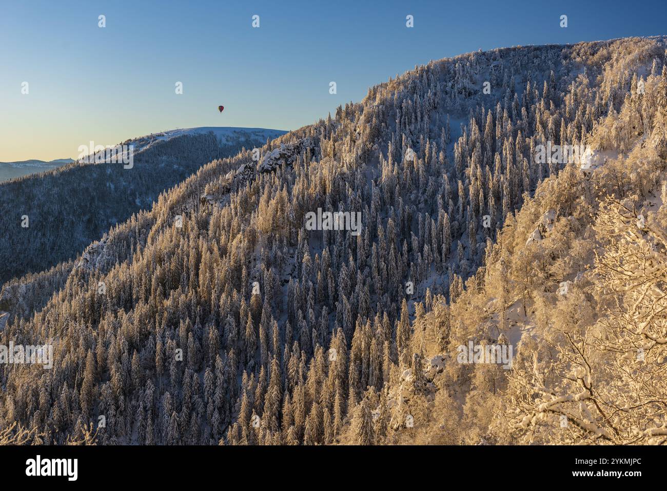 FRANCIA, ALSAZIA, HAUT-RHIN (68), PARCO NATURALE REGIONALE BALLONS DES VOSGES, RISERVA NATURALE FRANKENTHAL-MISSHEIMLE SOTTO LA NEVE IN INVERNO Foto Stock