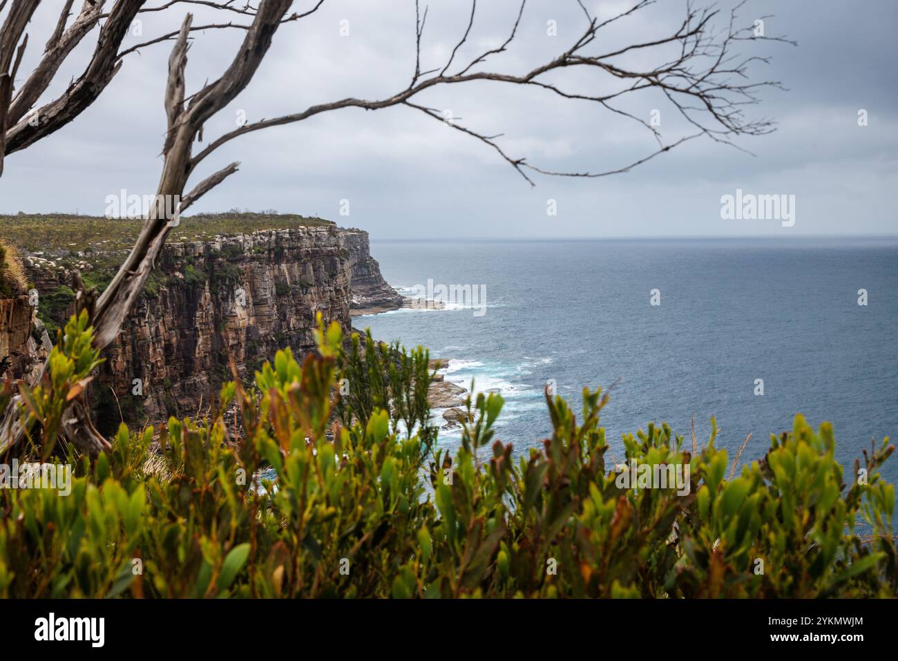 Scogliere rocciose viste da Manly nel nuovo Galles del Sud, Australia Foto Stock