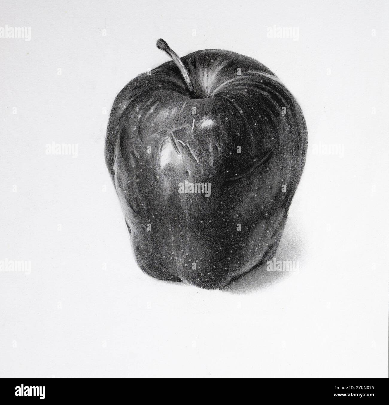 Un disegno a matita realistico di una mela che mostra dettagli intricati, ombreggiature precise e texture naturali. Foto Stock