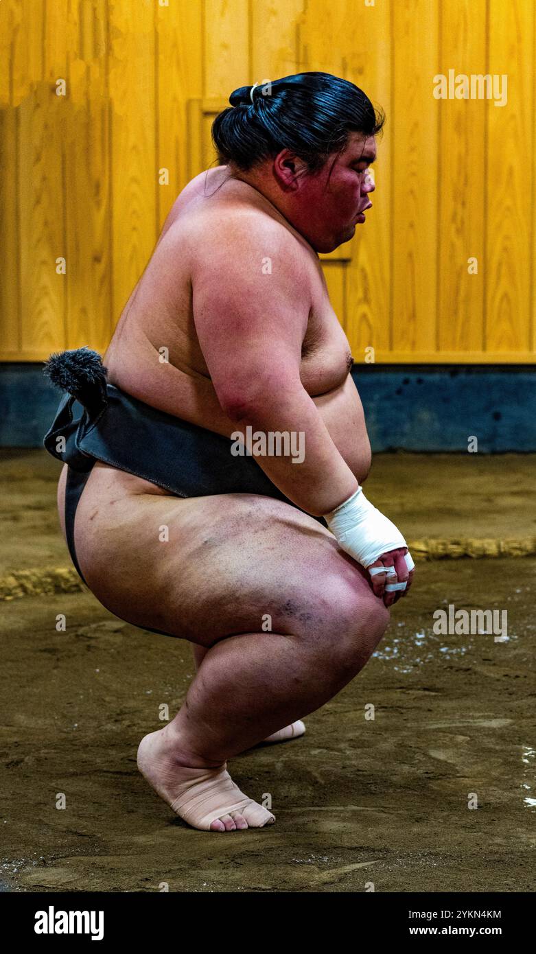 Un lottatore di sumo posa in una cintura mawashi, preparandosi per un incontro in un dojo Foto Stock