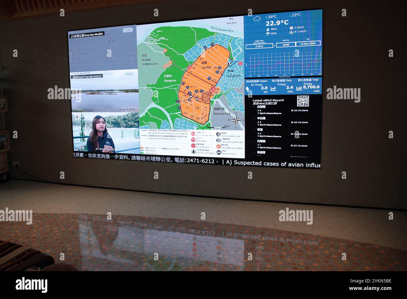 Vista dell'esposizione digitale all'interno del Peter Scott Visitor Centre, mai po Nature Reserve, Hong Kong, Cina Foto Stock