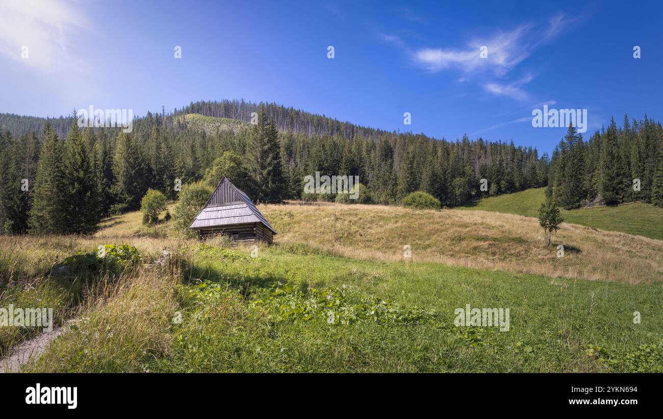 Una cabina rustica annidata nell'idilliaco paesaggio del Parco Nazionale Tatra, Polonia, circondata da vegetazione lussureggiante e alberi torreggianti, sotto un luminoso blu sk Foto Stock