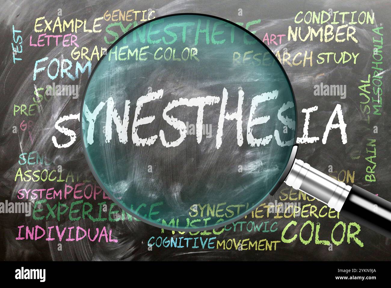 Sinestesia in corso di studio, esame - sotto stretta ispezione. Argomenti e idee più importanti strettamente correlati alla sinestesia scritti su una lavagna Foto Stock