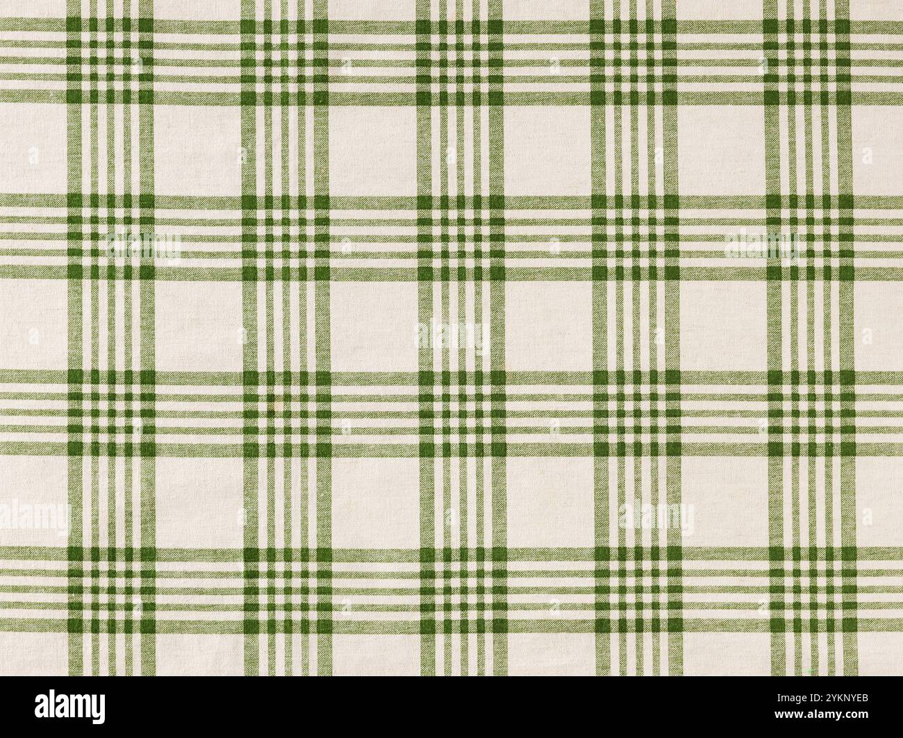 Panno a scacchi verde e beige Foto Stock