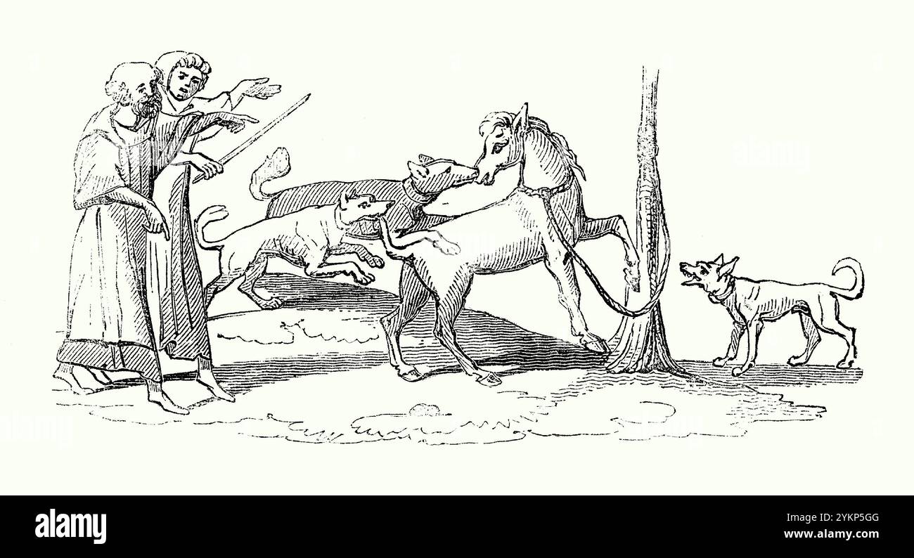 Un’antica incisione di uomini che “badiscono” un cavallo legato con cani nella Britannia medievale c. 1400 – proviene da un libro di storia vittoriana. Nel Medioevo il termine «intrattenimento» comprendeva l’esca da cavallo, insieme ad altri animali come orsi, scimmie e maiali. Qui gli uomini incoraggiano i cani ad attaccare usando un bastone. L'esca è uno sport sanguigno in cui un animale è preoccupato o tormentato da un altro animale, a scopo di intrattenimento o gioco d'azzardo. Foto Stock