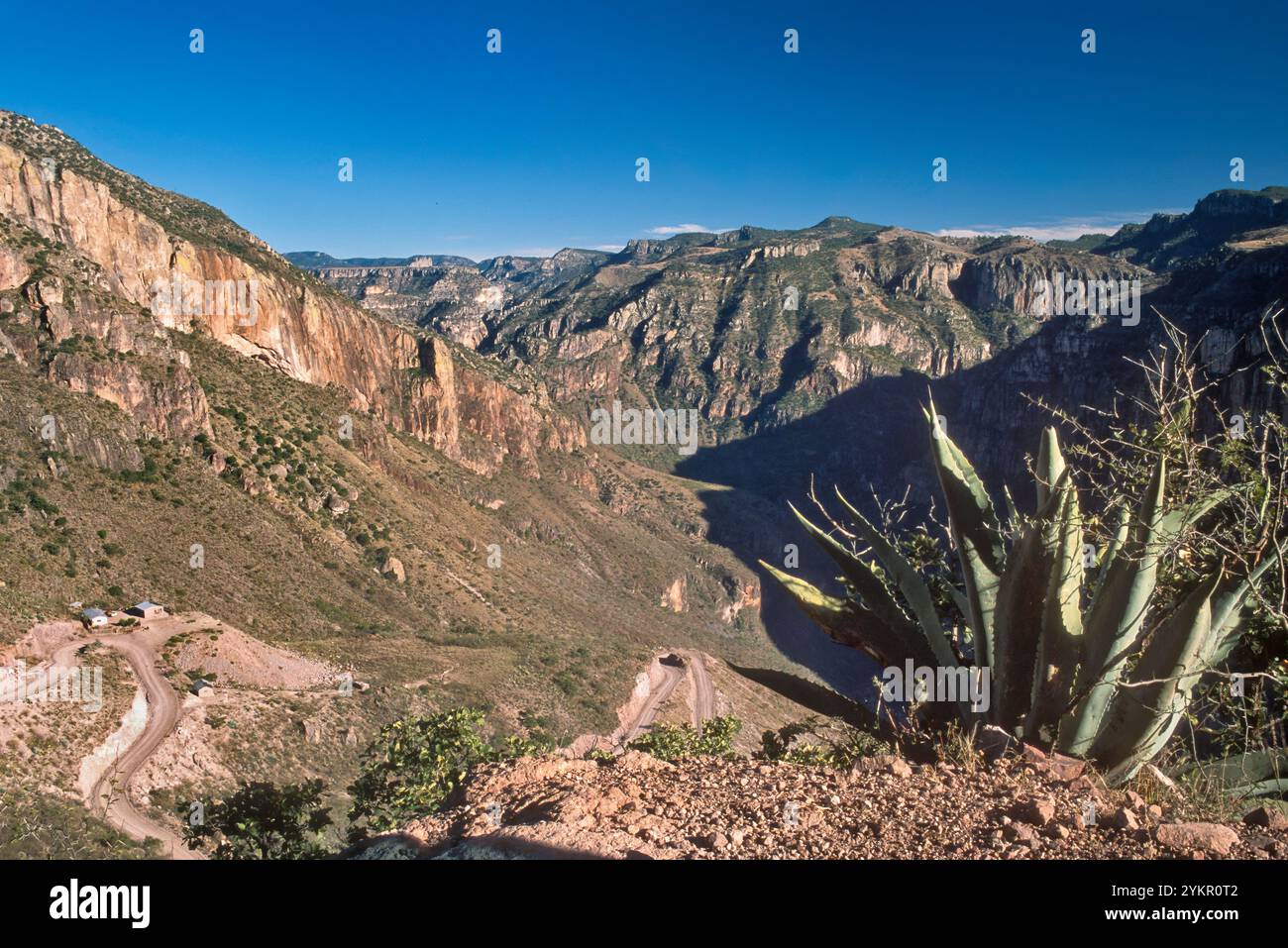 Strada per Batopilas, Barranca de Batopilas, Barranca del Cobre (Copper Canyon), Sierra Tarahumara, Stato di Chihuahua, Messico Foto Stock