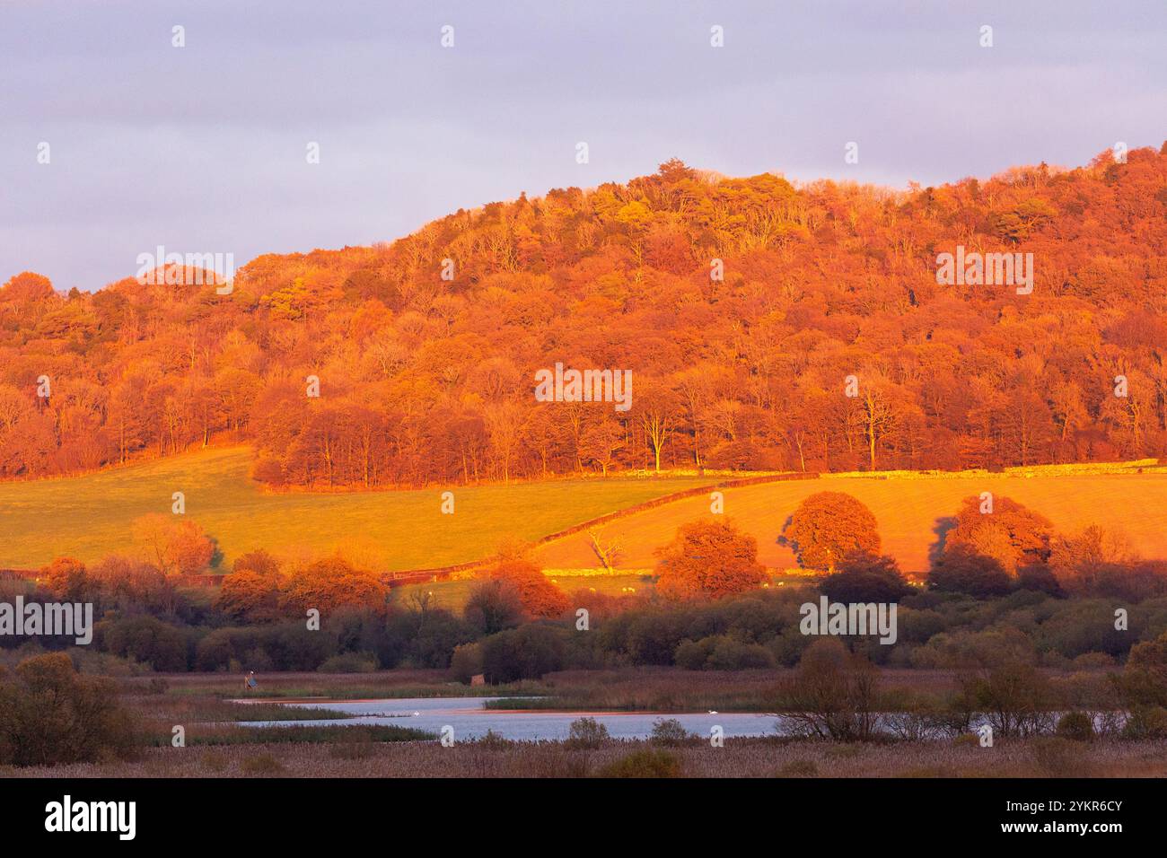 Una vista al tramonto dalla Skytower a RSPB Leighton Moss, Silverdale, Carnforth, Inghilterra Foto Stock