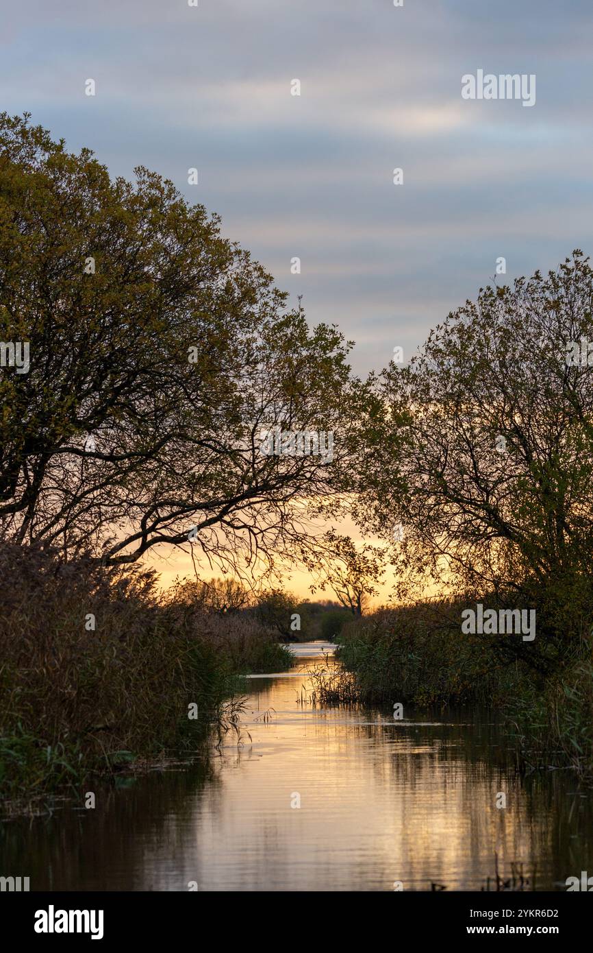 Un canale d'acqua attraverso le canne al tramonto a RSPB Leighton Moss, Silverdale, Carnforth, Inghilterra Foto Stock