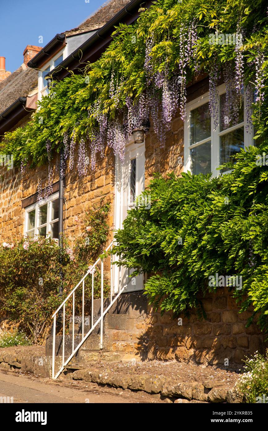 Regno Unito, Inghilterra, Oxfordshire, Wroxton, Main Street, wisteria in fiore sopra i gradini d'ingresso della Old Smithy Foto Stock