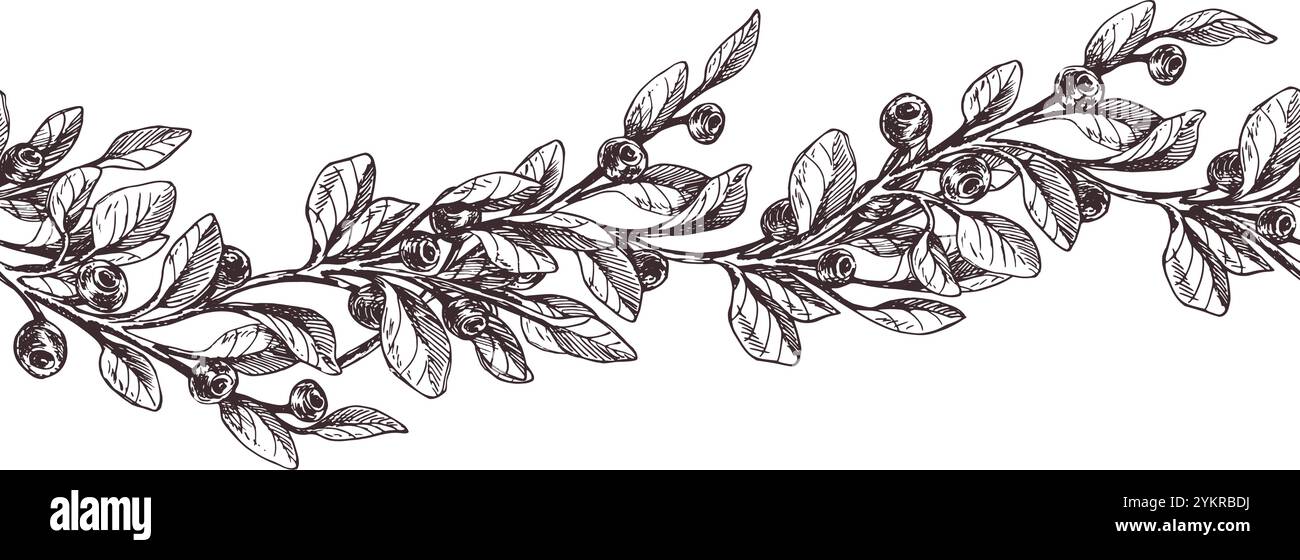 Ciuffi di mirtilli con frutti di bosco e foglie. Illustrazione grafica, disegnata a mano con inchiostro marrone, line art monocromatica. Bordo senza cuciture, motivo, semplice da indossare Illustrazione Vettoriale