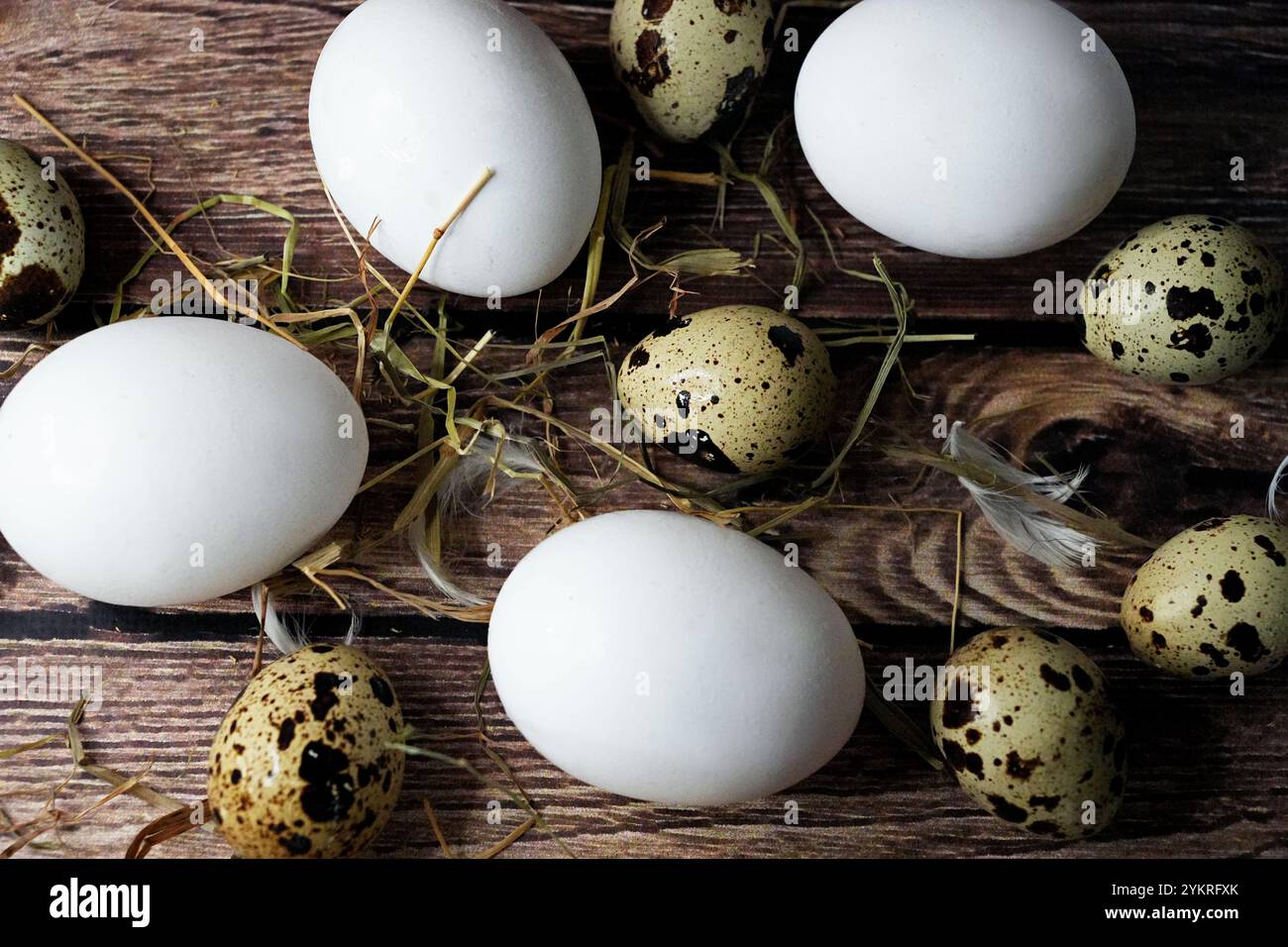 Uova di pollo bianche e uova di quaglia macchiate disposte su una superficie rustica in legno con paglia e piume. Fresco di fattoria. Foto Stock