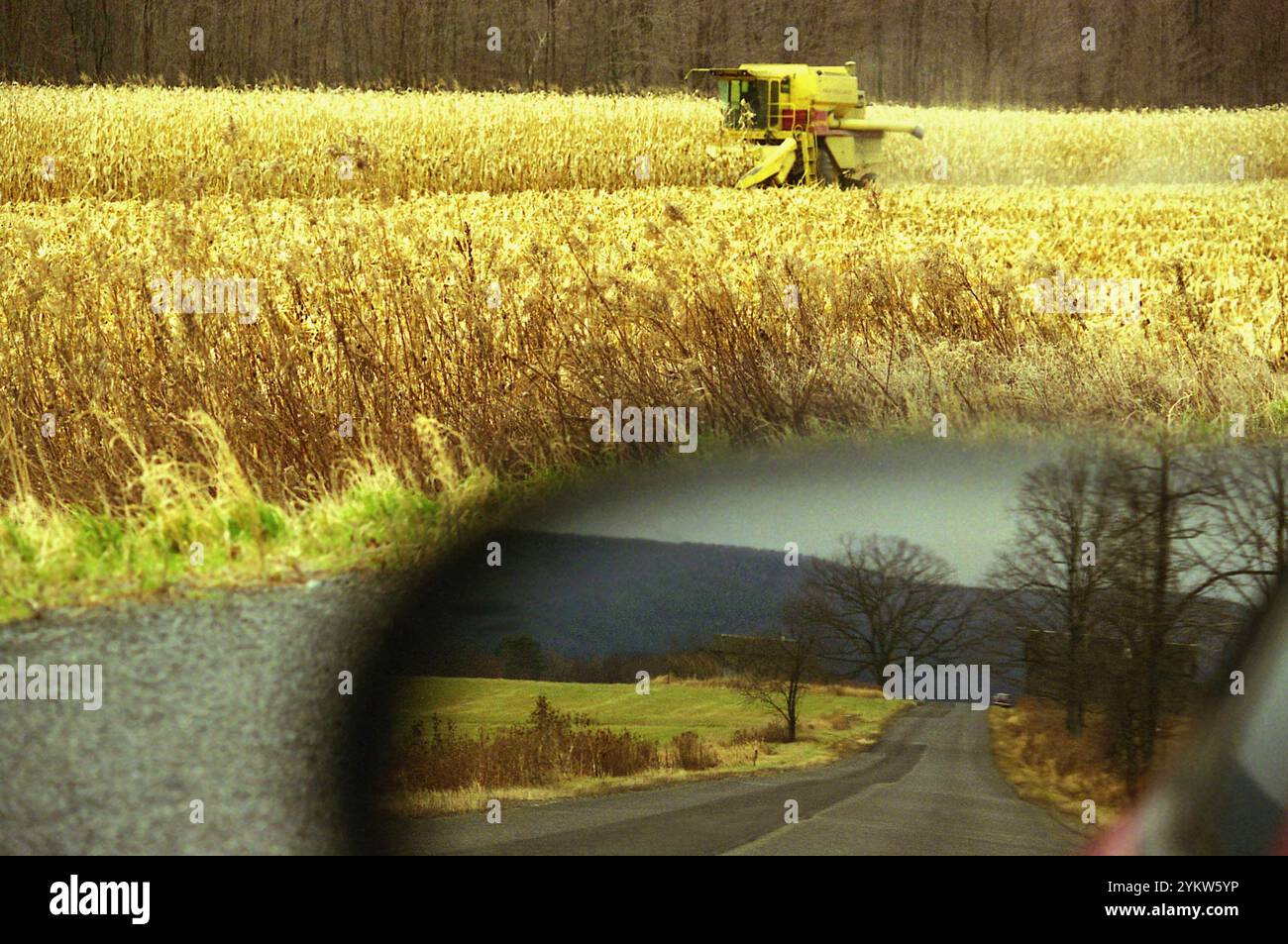 New York, USA, circa 1992. Una mietitrebbia per mais sul campo alla fine di novembre. Foto Stock