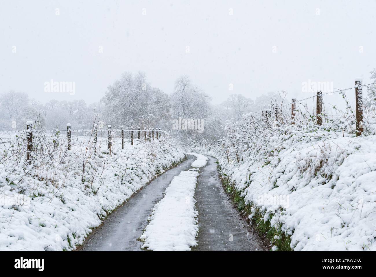 Pittoresca strada di campagna durante una tempesta di neve, strada rurale durante una bufera di neve Foto Stock