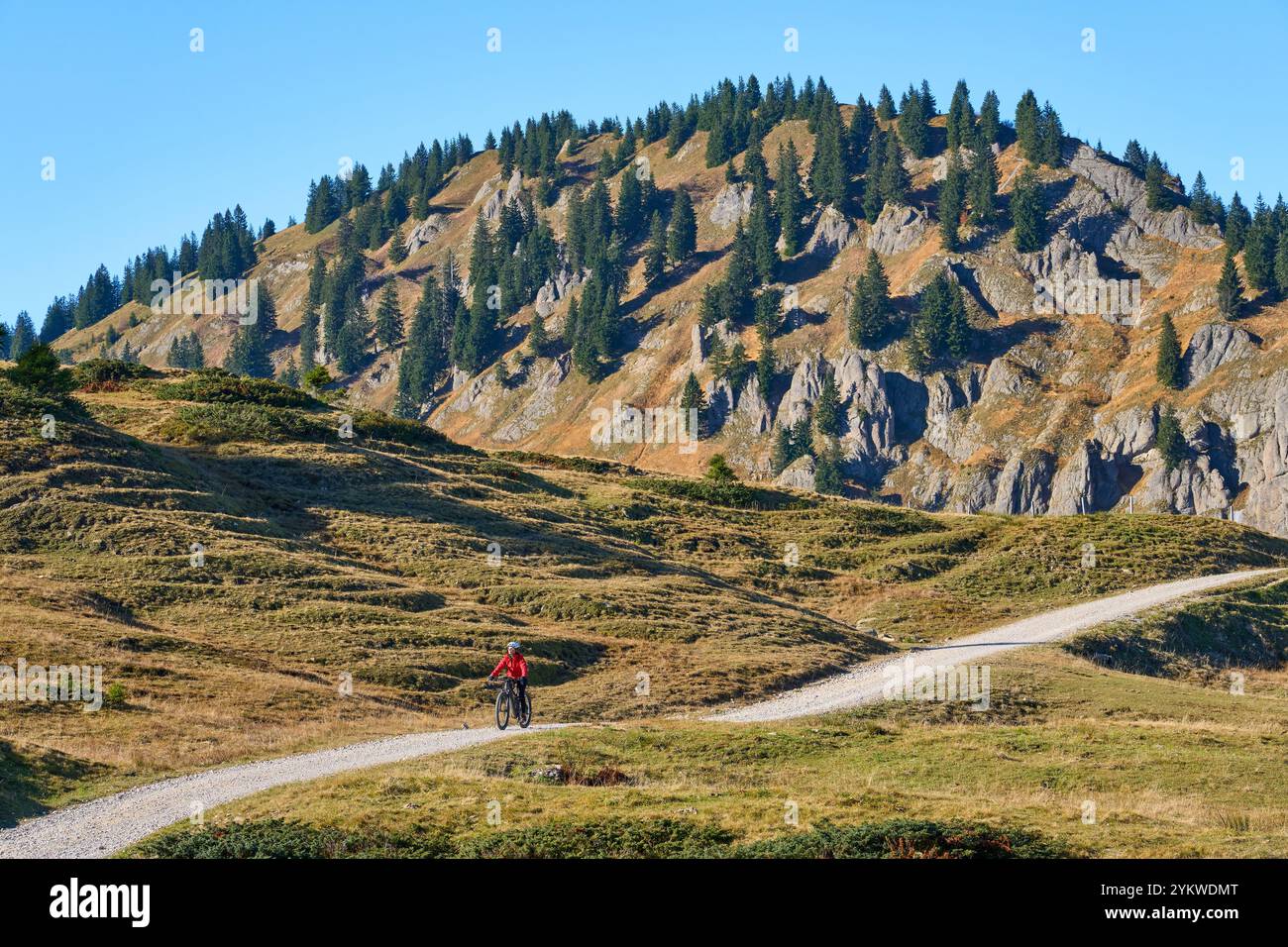 Donna in sella alla sua mountain bike elettrica sulle montagne sopra il villaggio di Balderschwang nelle Alpi Allgaeu, Baviera Germania Foto Stock